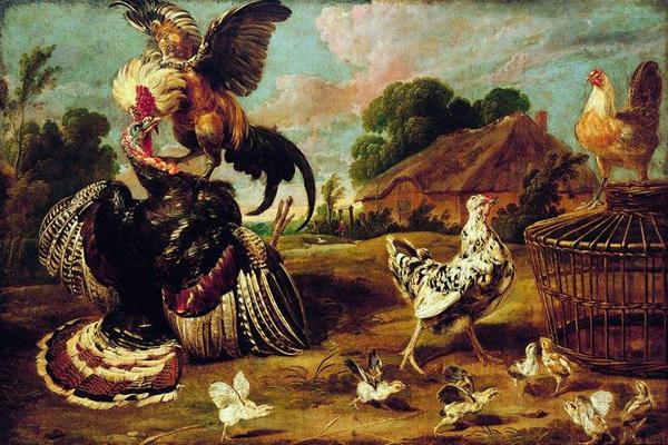 Paul de Vos The fight between a turkey and a rooster china oil painting image